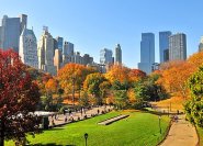 © Touch - Fotolia.com - Indian Summer in den USA.