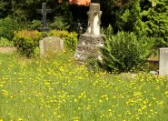 Blumenrasen auf einem Friedhof