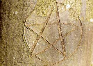 Pentagramm in Rinde geritzt