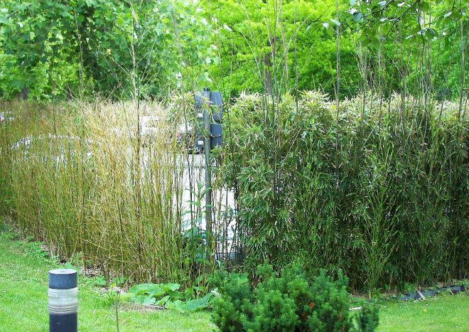 Bambuszaun: einfache elegante Bambuszäune für die japanische