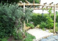 Mediterraner Sitzecke: Olivenbaum und Pergola. Etwas zu grüner Hintergrund.