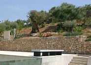 Olivenbäume in mediterraner Gartengestaltung.  © bsw-web.de Bildrechte beachten