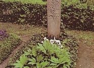 Ein einfaches, mit Efeu bepflanztes Grab.