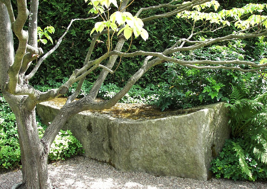 Liegender Stein und aufrechter Baum