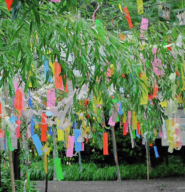 Bunte Zettelchen an einem Baum hüngend