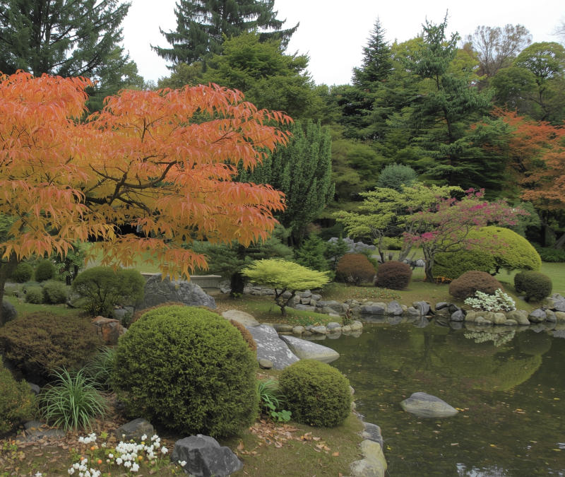 Japan Ahorngarten 