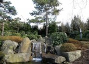 Wasserfall im Japanischen Garten Bad Langensalza.