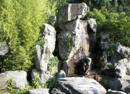 Wasserfall und Felsen