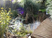 Ein kleiner Teich wirkt mit Holzbrücke und Hintergrundpflanzung größer..
