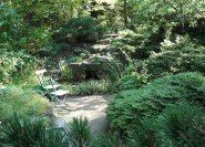 Schattiger Steingarten mit Quelle