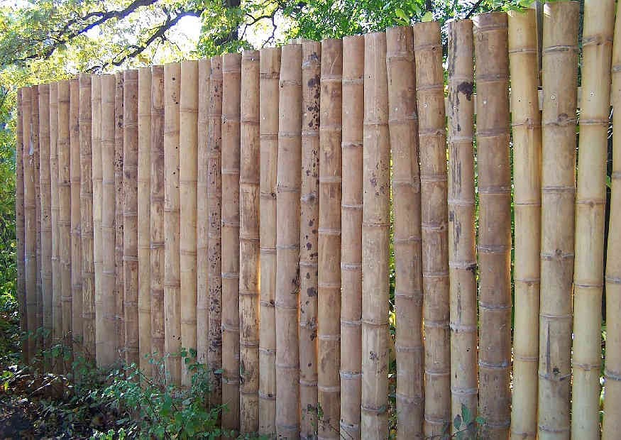 Garten Bambus Sichtschutz