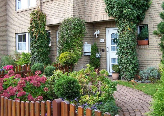 Blumen Symbol ) Bedeutung Licht, Vergänglichkeit Lichtsymbol Blüten