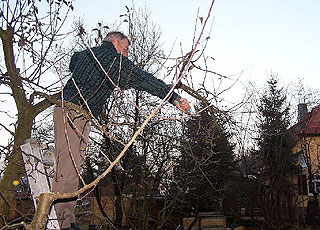 Jonni Joachim Mehner - Obstbaumschnitt