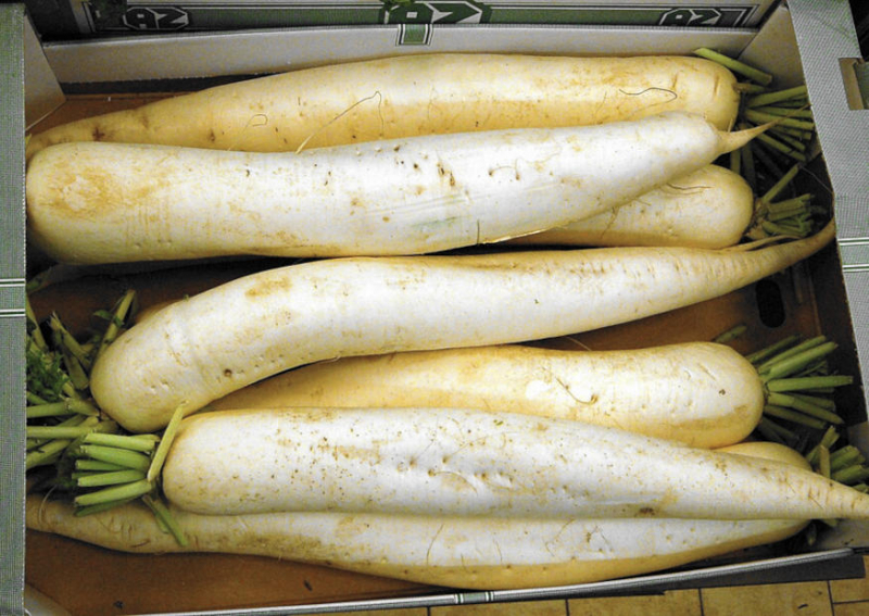 Herbstrettiche in Kisten