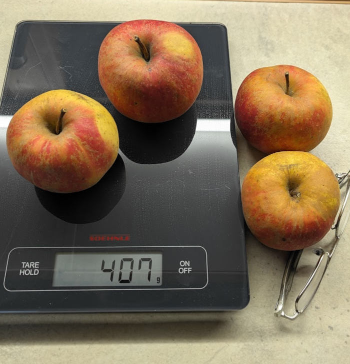 166 400 gramm boskoop