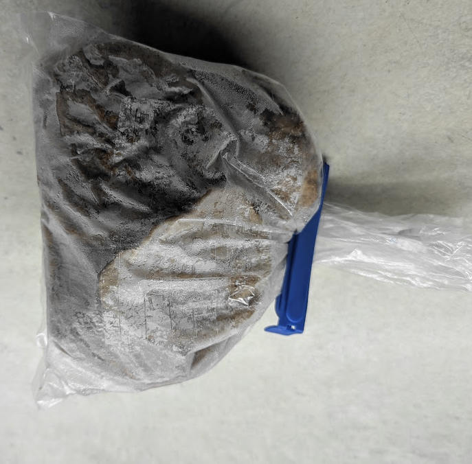 Apfeltaler eingefostet