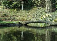 Hier ein anderer Teil der japanischen Gartenanlage in Zuschendorf: das Motiv ist eine See mit einer Insel und einer Steinbrücke, was sich viel in japanischen und chinesischen Gärten wiederfindet.