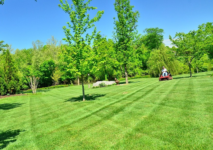 Welcher Dünger Für Rasen. rasen d ngen. welcher rasentraktor f r ihren