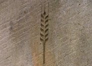 Dieses Kornährensymbol stammt von einem modernern Grabmal - hier ist das Korn stilistisch dargestellt, was die Symbolik hervorhebt.