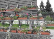 Balkonbepflanzung Beispiele auf einer gartenschau
