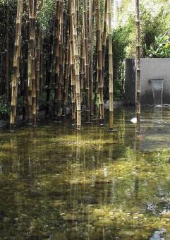 Bambusstangen am Gartenteich