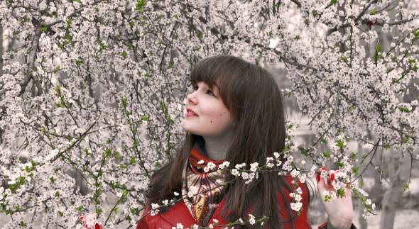 prunus allgemien ALESSA ABRAMOFF Kirschblüte in Tokio