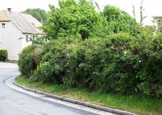 Begrünte Schallschutzmauern, Grüner Lärmschutzwall, Lärmschutzmauer für