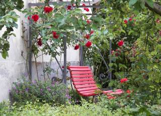 Rote Gartenbank mit Rosenspalier
