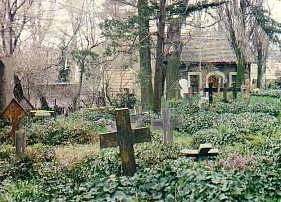 romantisch verwilderter Friedhof