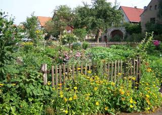 Klassicher Bauerngarten