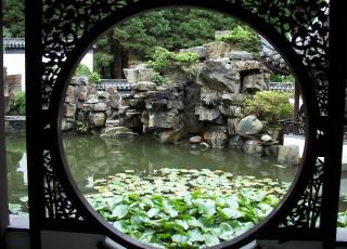 Bildwirkung im chinesischen Garten.