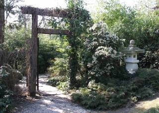 Japanischer Garten Eingang Holztor