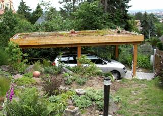 Autoüberdachung mit Dachbepflanzung