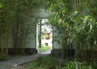Gartenhof mit Bambus