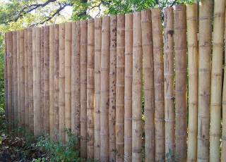 Sichtschutz Bambus Bambsusrohr