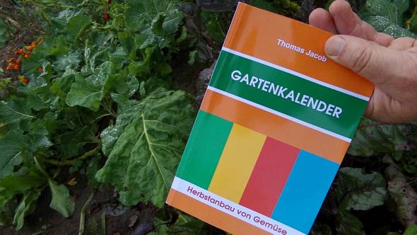 Gartenkalender Herbstanbau von Gemüse im Selbstversorgergarten