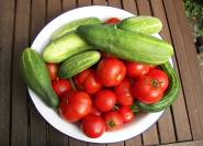 Geerntete Tomaten und Gurken