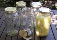Ball Mason Jars Einmachgläser zum fermentieren
