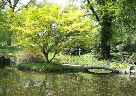 Japanischer Garten Pirna Zuschendorf