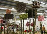 Gartenausstellung Floristik