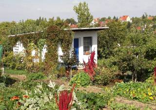 Gartenhaus mit Flachdach