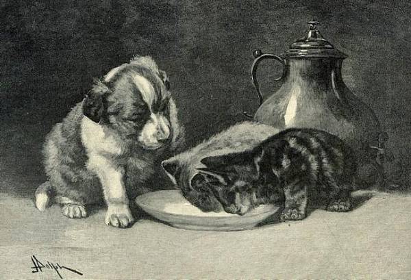 Historischer Stich: Hund und Katze