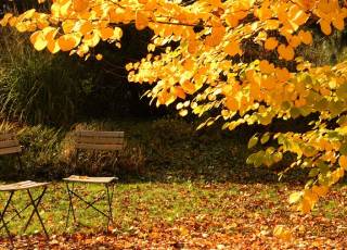 Im Herbst fallen die Blätter und im Garten gibt es einiges zu tun