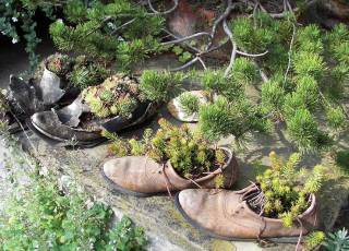 Gartendeko bepflanzte Schuhe