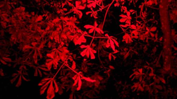 LED Licht rot