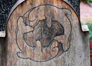 Symbole Delphine in Holz