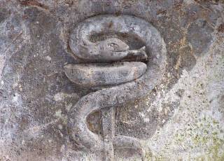 Symbol Schlange Äskulapstab